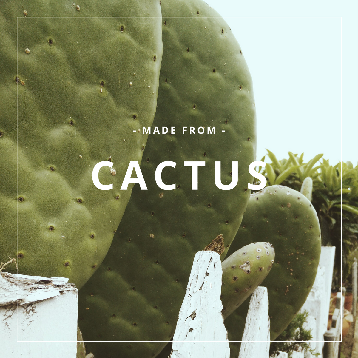 Flap - Classic - Cactus White Star