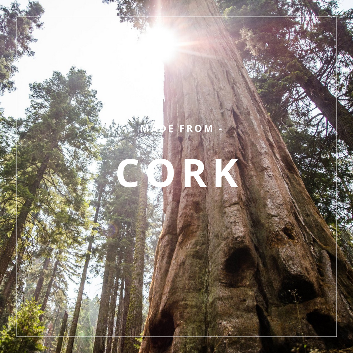 Flap - Classic - Cork Nature